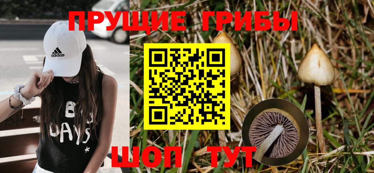 Галлюциногенные грибы Magic Shrooms  Вход с VPN  Галлюциногенные грибы прущие грибы  Новый Уренгой 