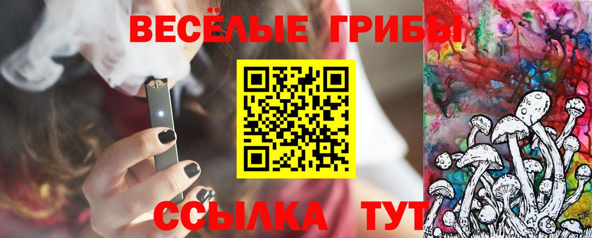 Галлюциногенные грибы GOLDEN TEACHER Новый Уренгой